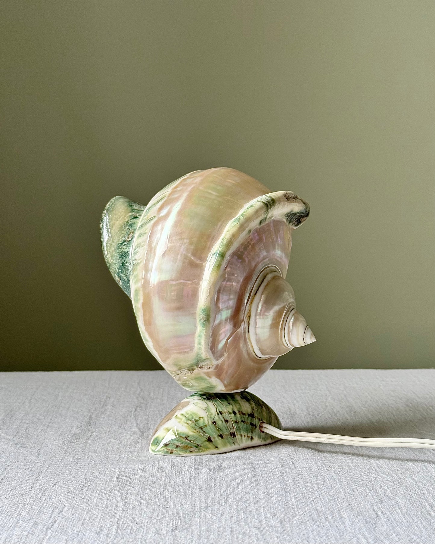 Vintage French Nautilus Shell Lamp
