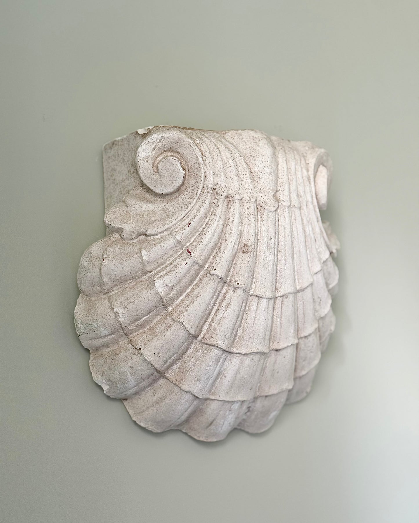 Vintage Plaster Shell Wall Plaque