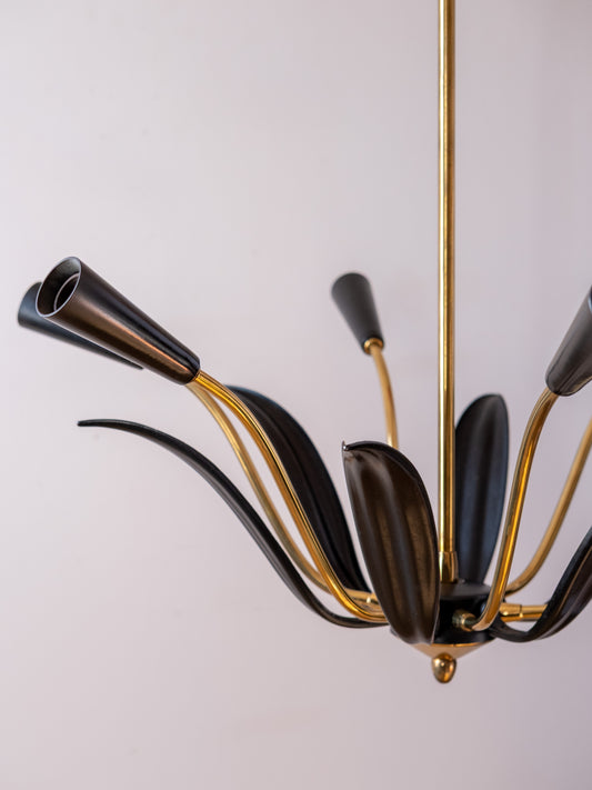 Italian Brass & Black Ceiling Light
