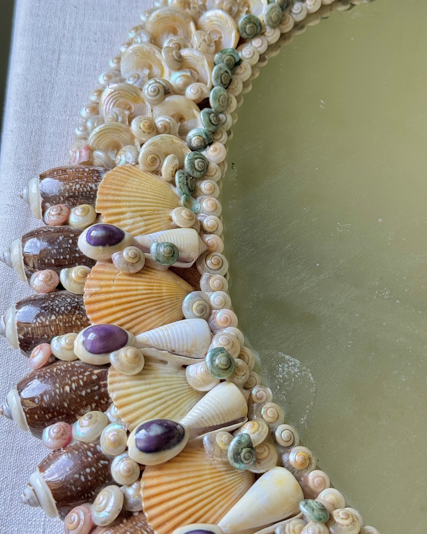Profile view showing thicker lower border of vintage shell mirror