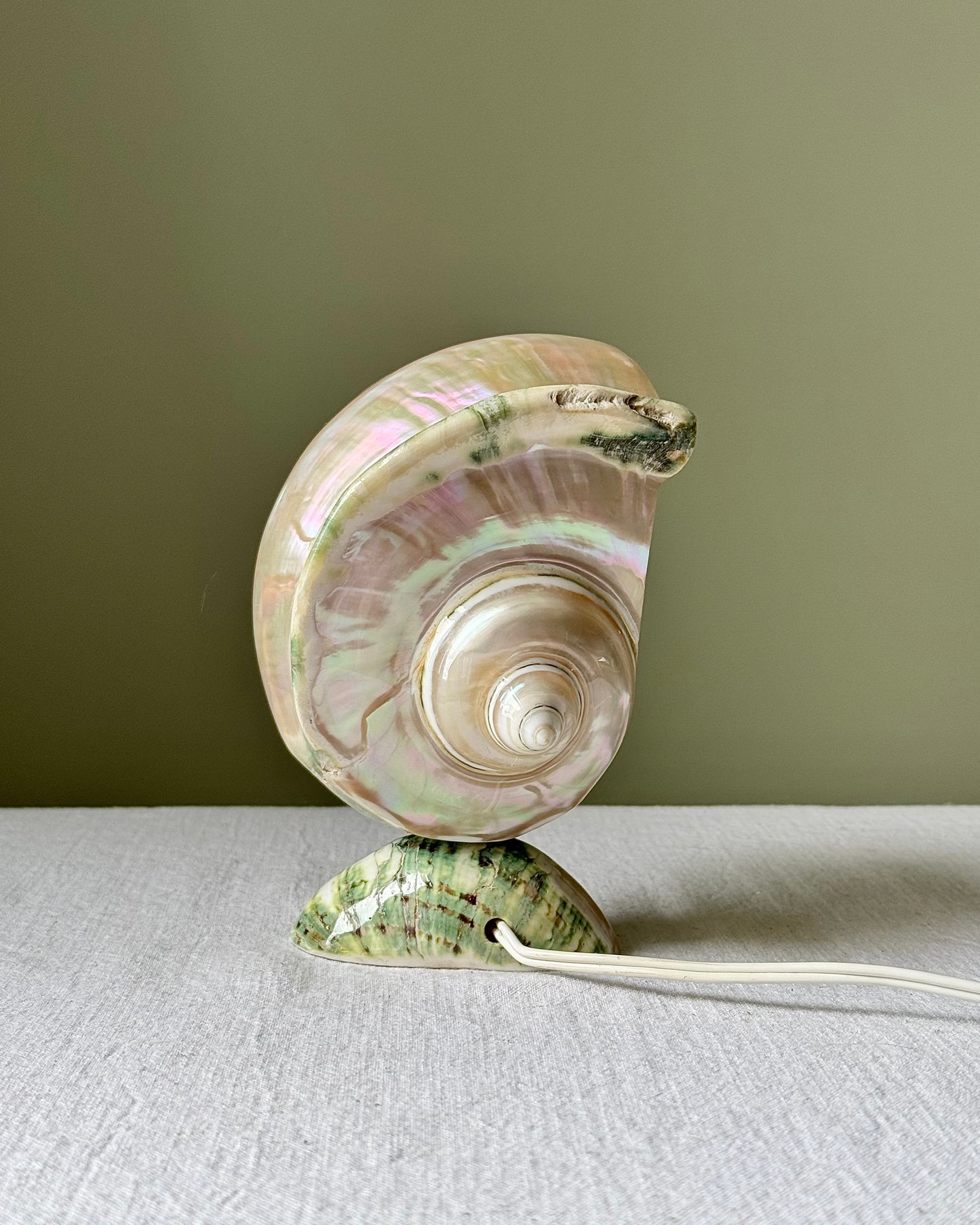 Vintage French Nautilus Shell Lamp