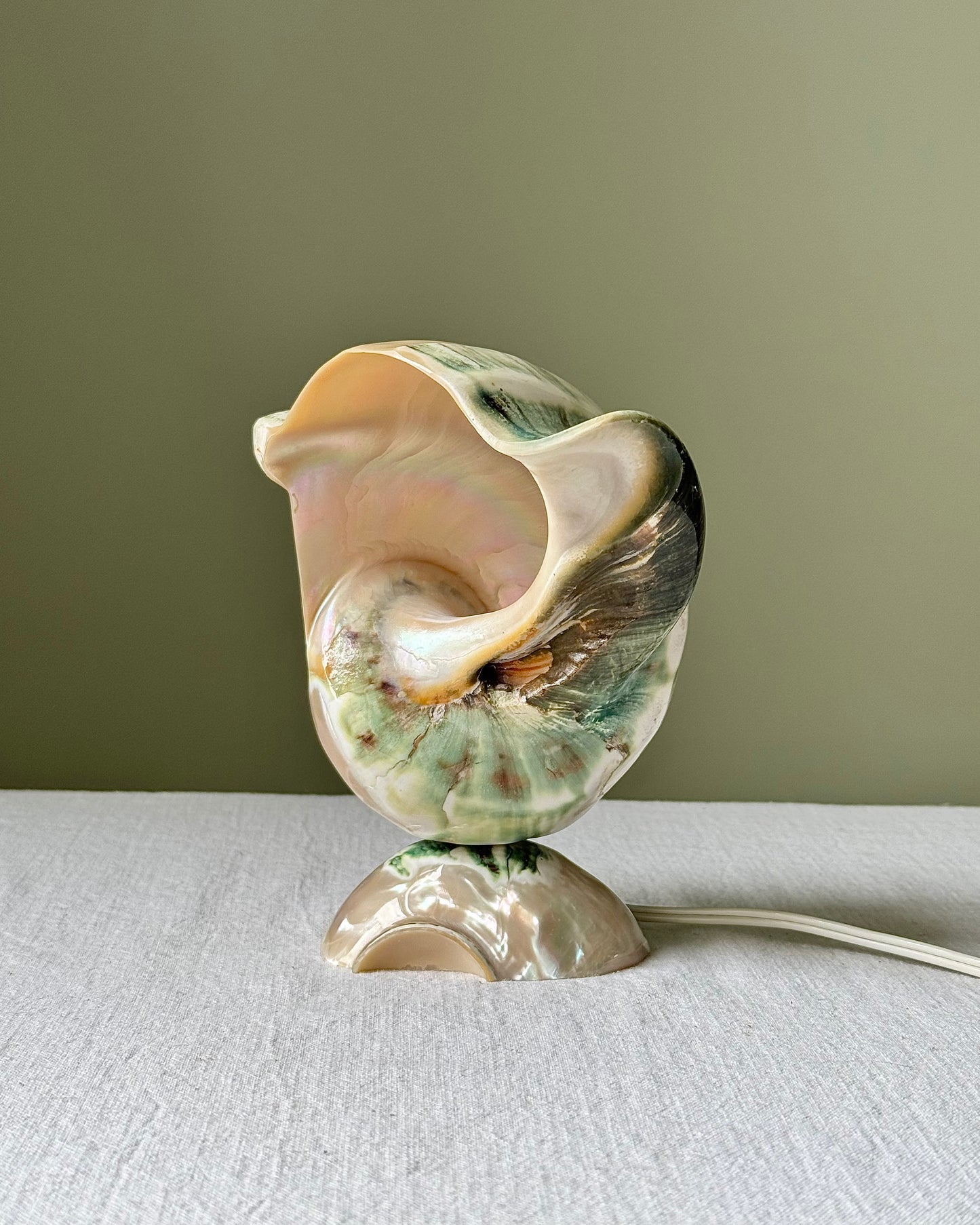 Vintage French Nautilus Shell Lamp