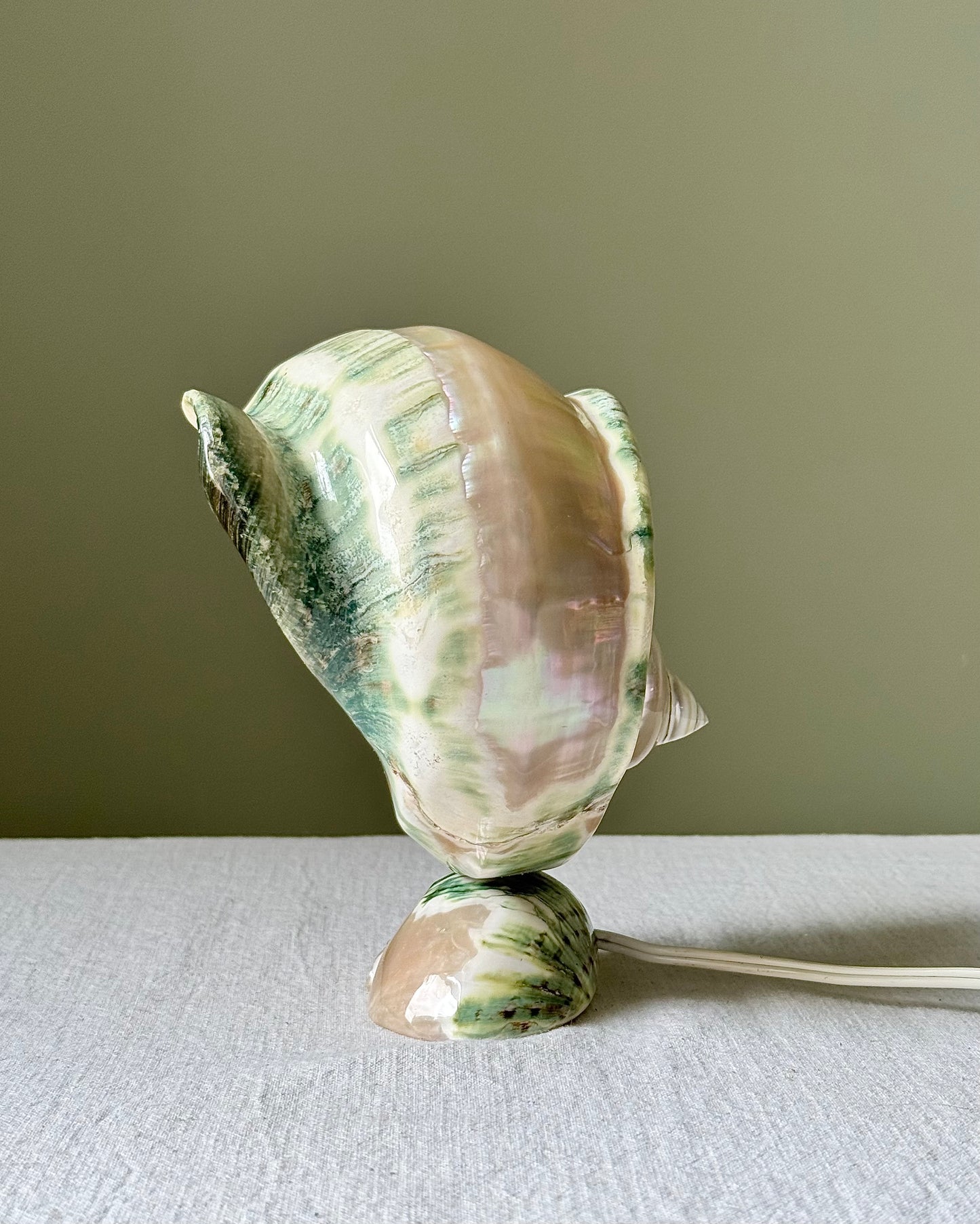 Vintage French Nautilus Shell Lamp