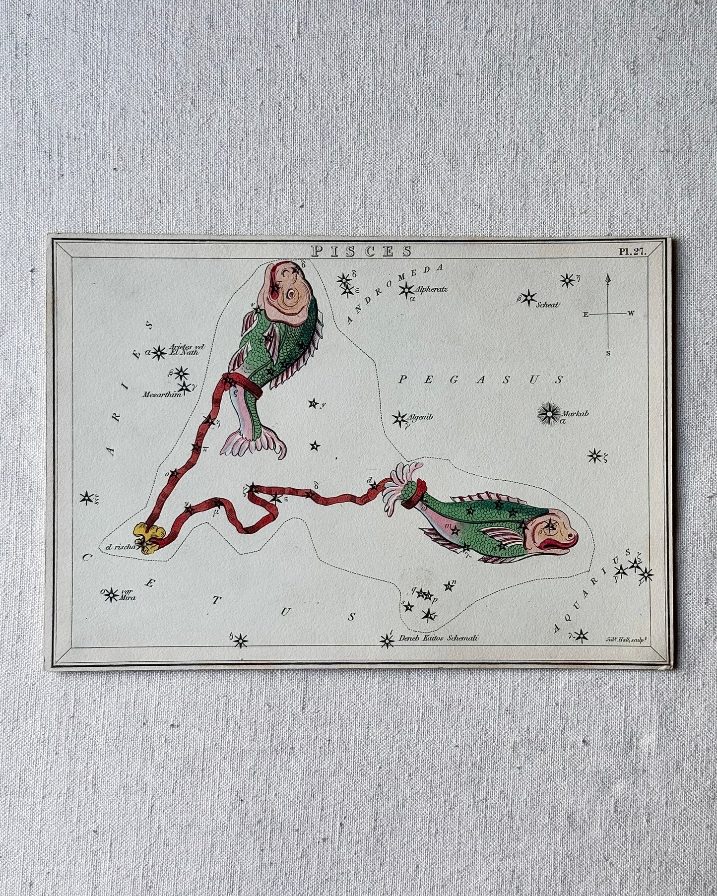Antique Hand-Painted Constellation Print ‘Urania’s Mirror’ by Sidney Hall c. 1825