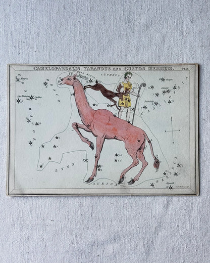 Antique Hand-Painted Constellation Print ‘Urania’s Mirror’ by Sidney Hall c. 1825