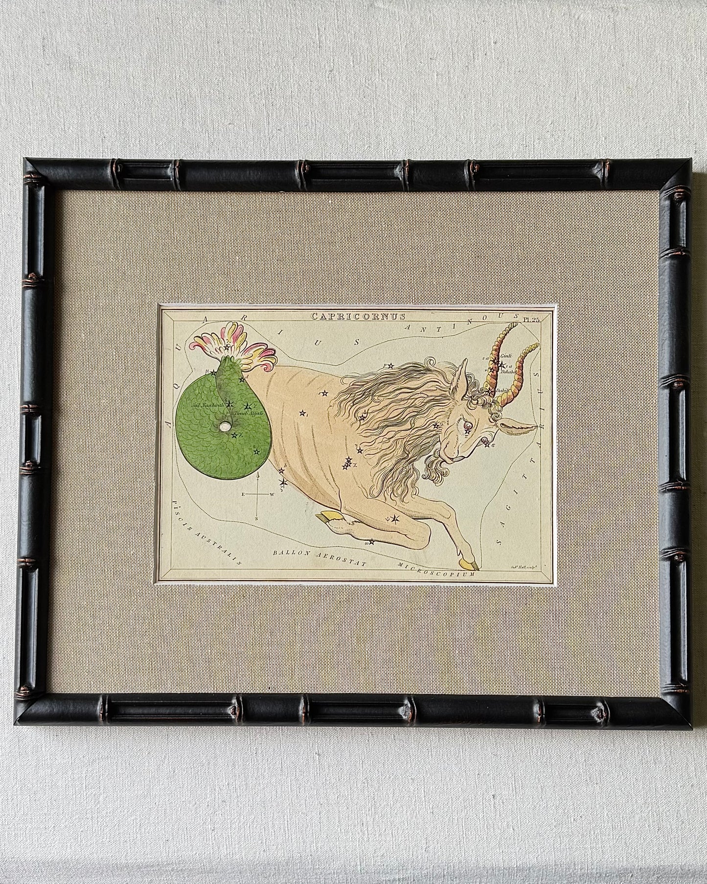 Antique Hand-Painted Constellation Print ‘Urania’s Mirror’ by Sidney Hall c. 1825