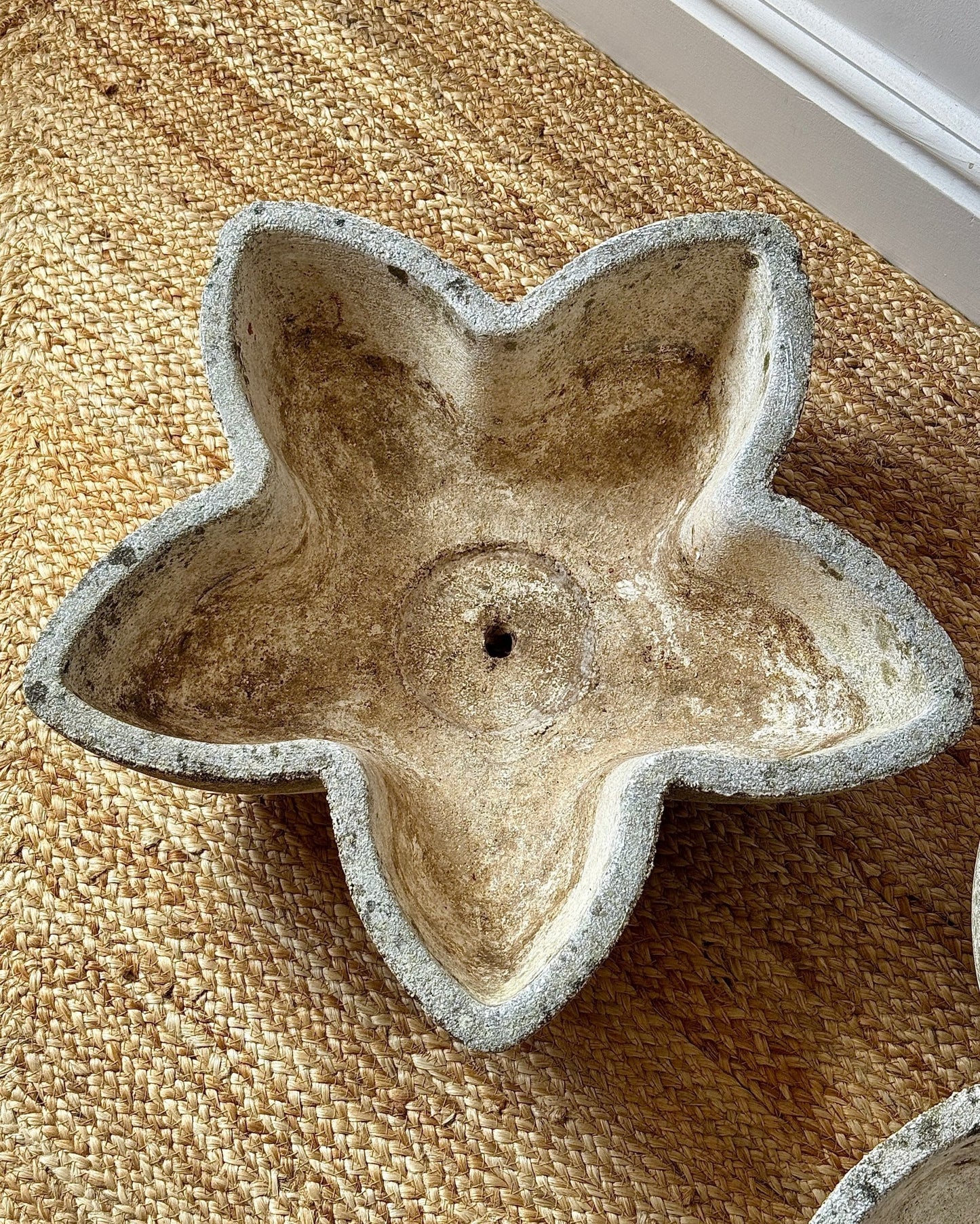 French Cast Stone Flower Form Planters - Club Sourced
