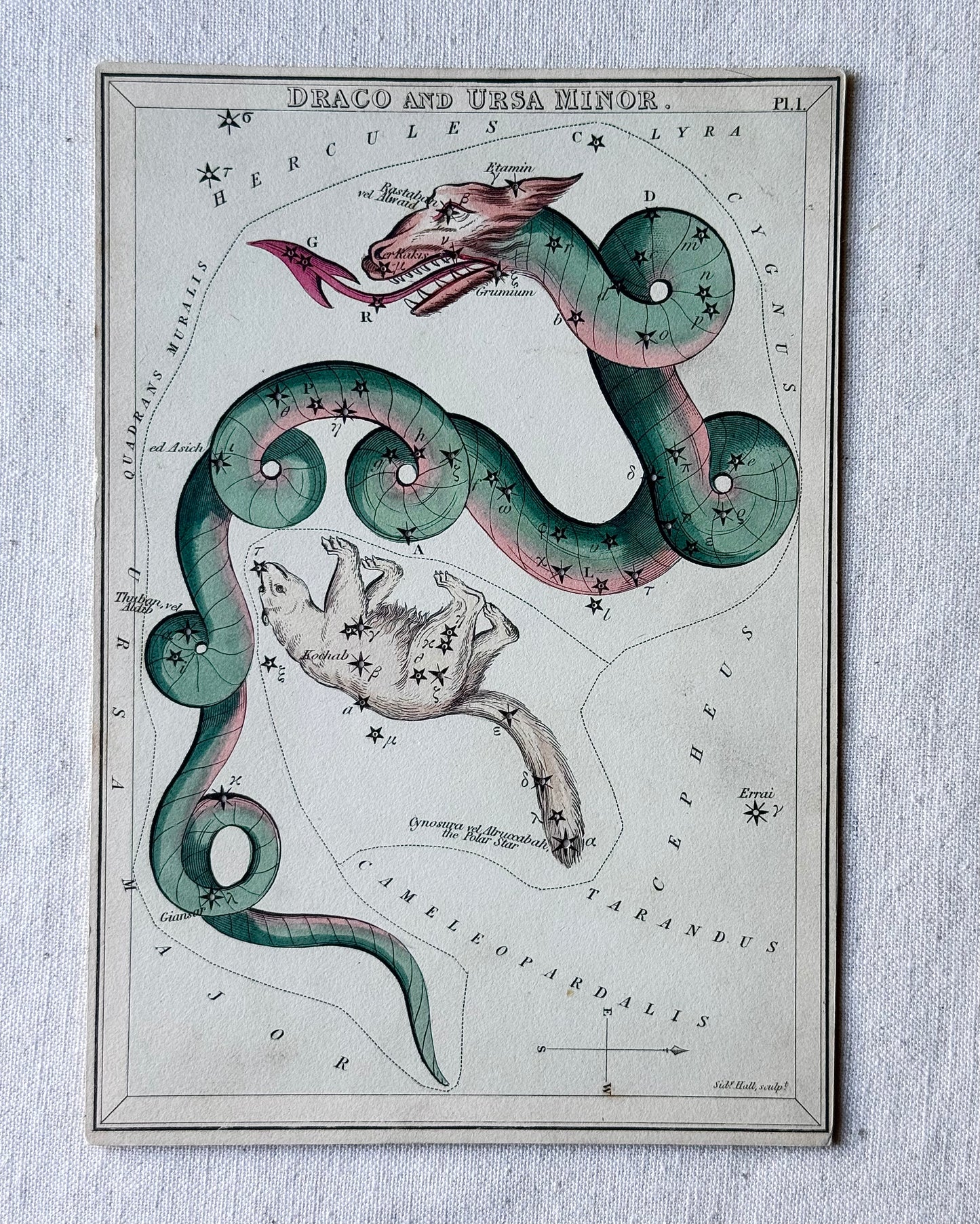 Antique Hand-Painted Constellation Print ‘Urania’s Mirror’ by Sidney Hall c. 1825