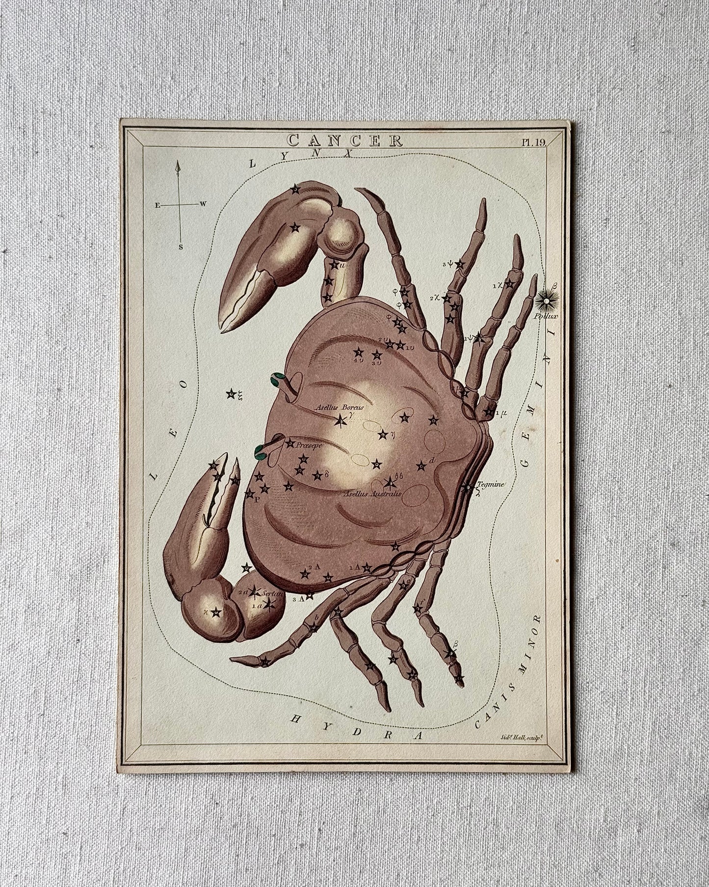 Antique Hand-Painted Constellation Print ‘Urania’s Mirror’ by Sidney Hall c. 1825