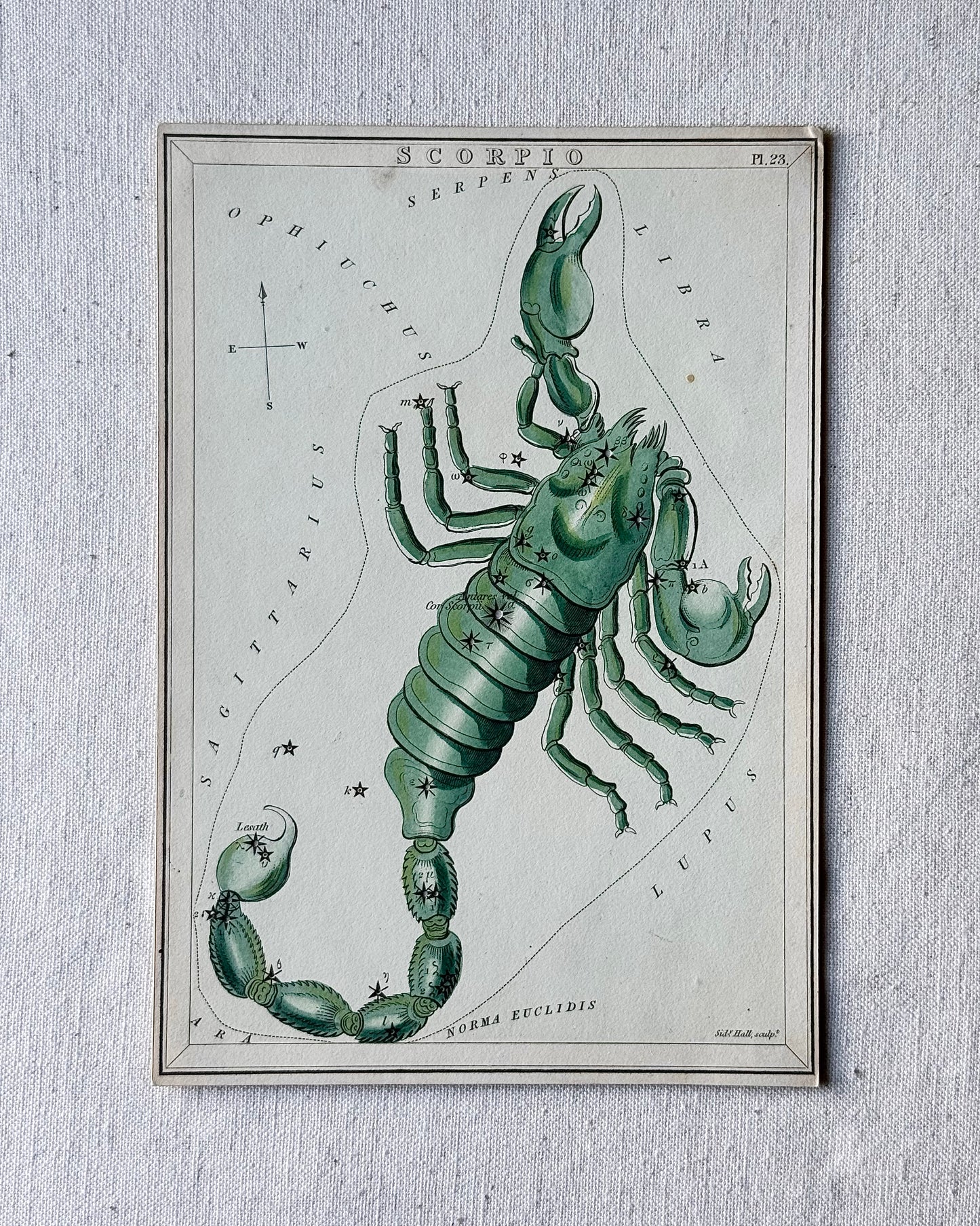 Antique Hand-Painted Constellation Print ‘Urania’s Mirror’ by Sidney Hall c. 1825