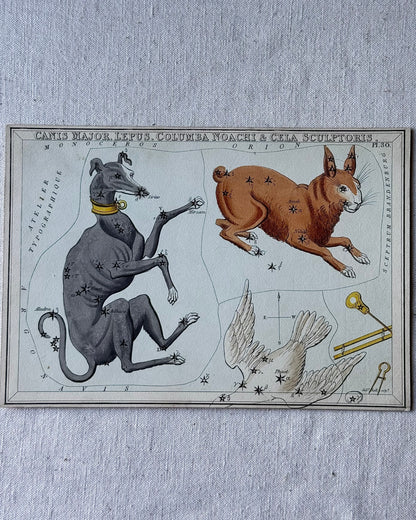 Antique Hand-Painted Constellation Print ‘Urania’s Mirror’ by Sidney Hall c. 1825