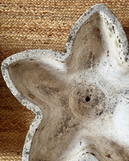 French Cast Stone Flower Form Planters - Club Sourced