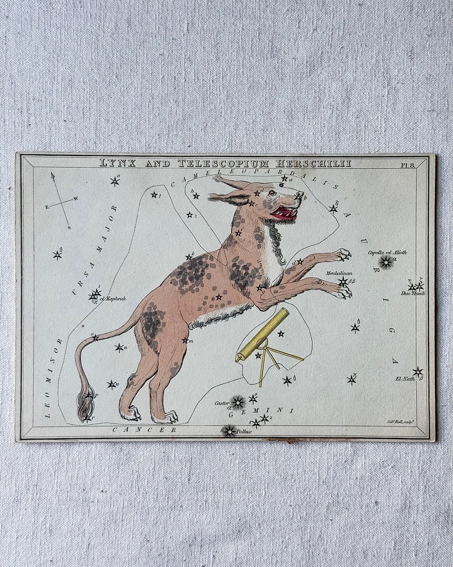 Antique Hand-Painted Constellation Print ‘Urania’s Mirror’ by Sidney Hall c. 1825