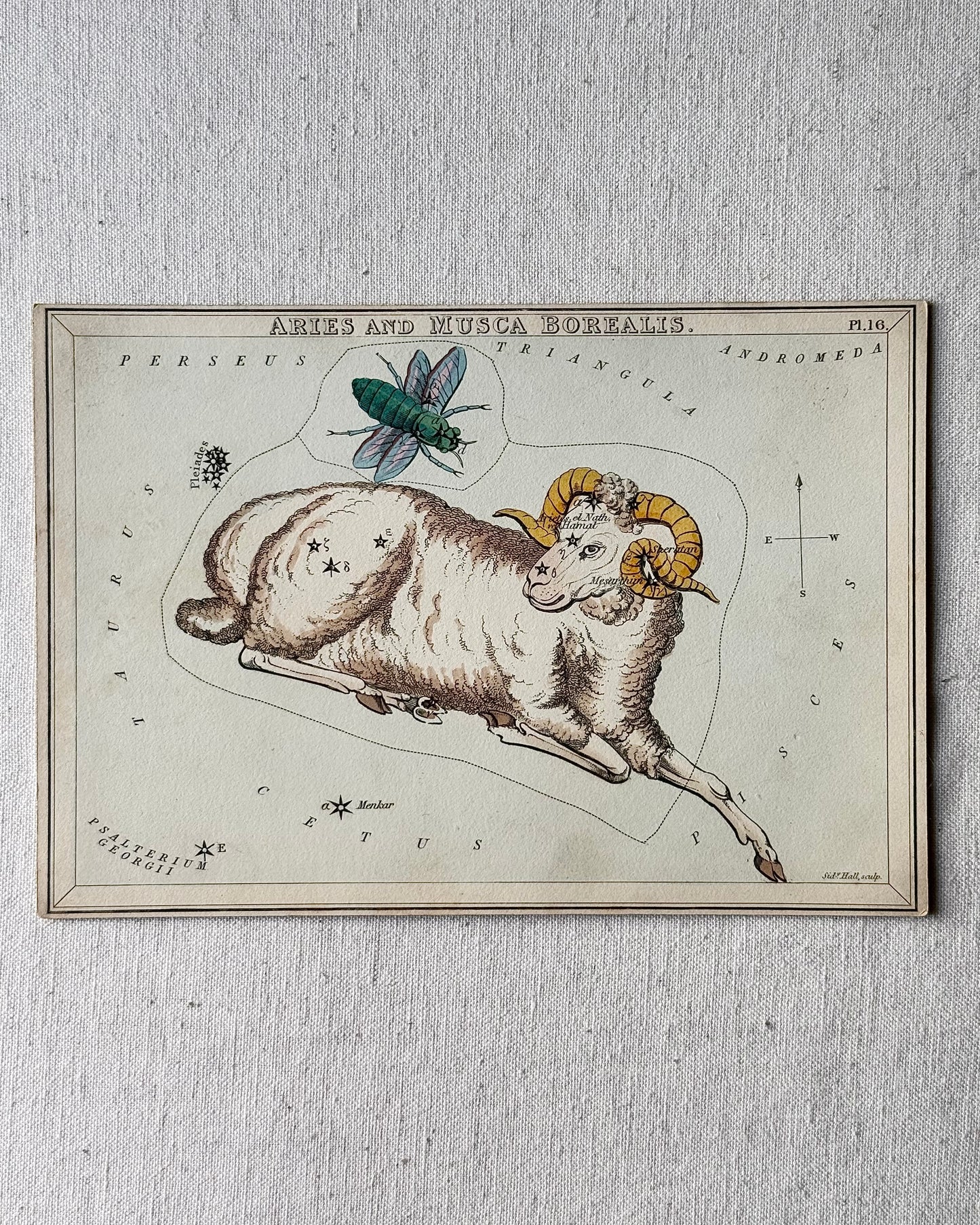 Antique Hand-Painted Constellation Print ‘Urania’s Mirror’ by Sidney Hall c. 1825