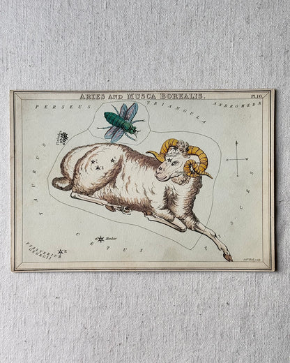 Antique Hand-Painted Constellation Print ‘Urania’s Mirror’ by Sidney Hall c. 1825